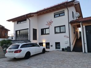 Edelweiß am Abend