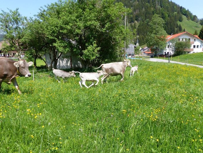 Wettrennen mit Mama