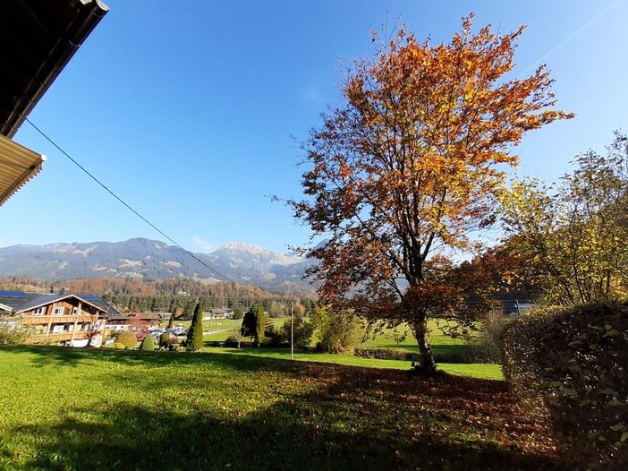 Ausblick Fewo groß 3