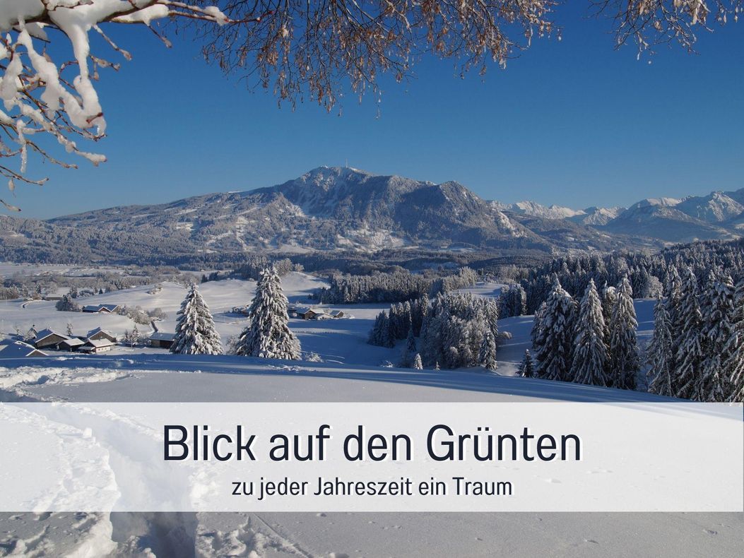 Winterblick auf den Grünten