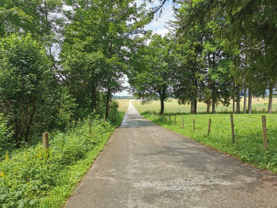 Weg Richtung St. Coloman