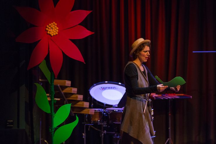 Kinderkonzert Anatol der Trommeltroll ©Felikss Francer