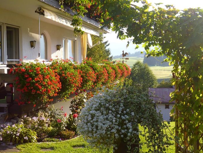 Fewo Kircher Blumenpracht - Balkon - Hopfen