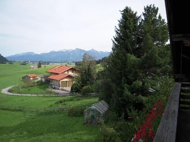 Ausblick