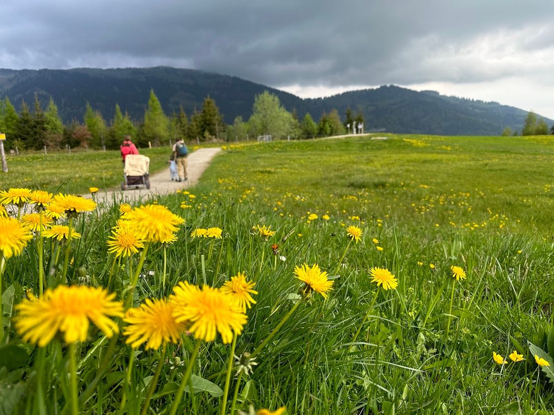 Stuimändle Erlebnisweg am Ofterschwanger Horn