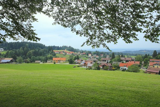 Blick auf Scheidegg