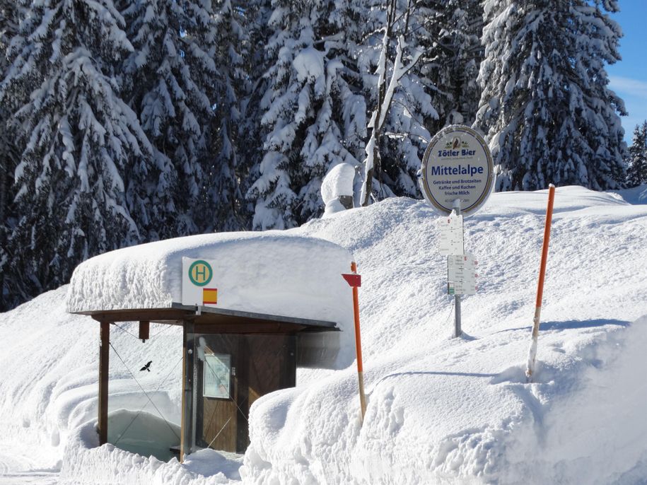 Bushaltestelle Mittelalpe