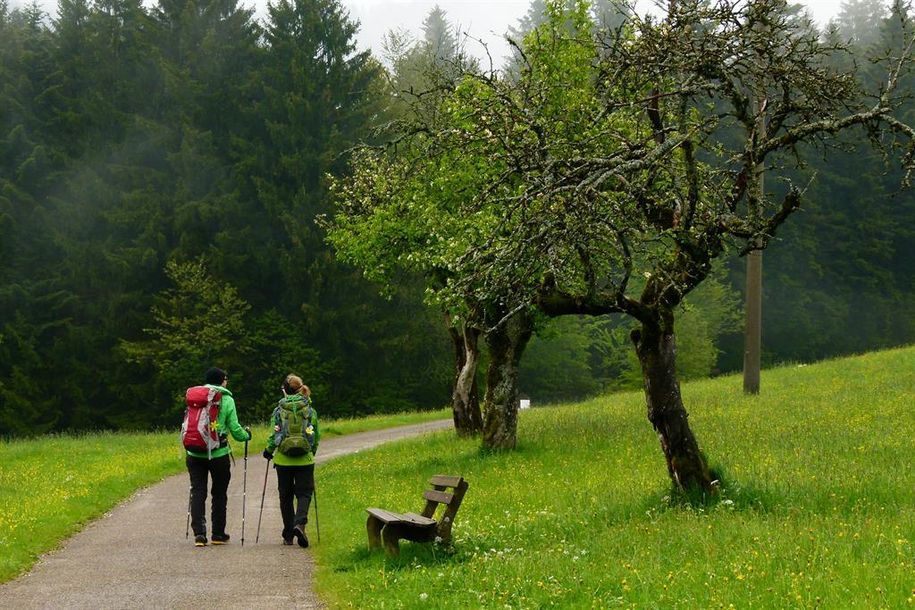 Wandern