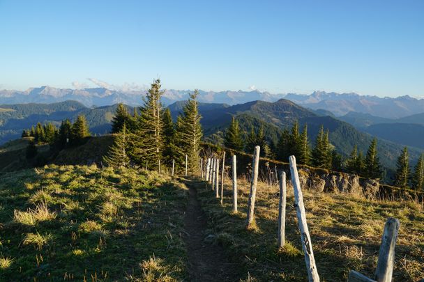 Von Gunzesried-Säge zum Siplingerkopf