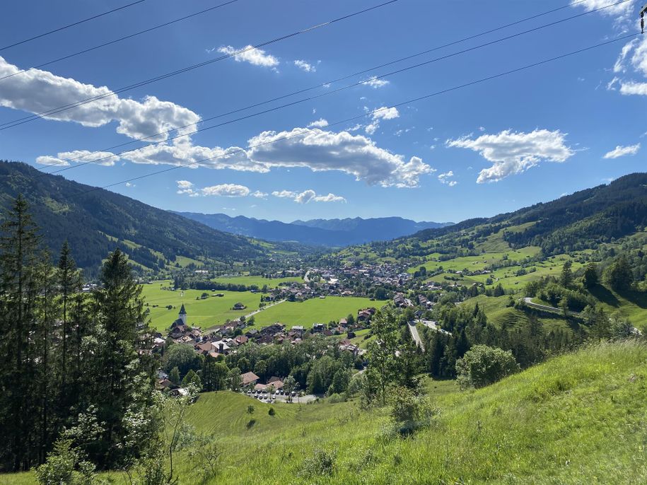 Blick_auf_Bad_Oberdorf