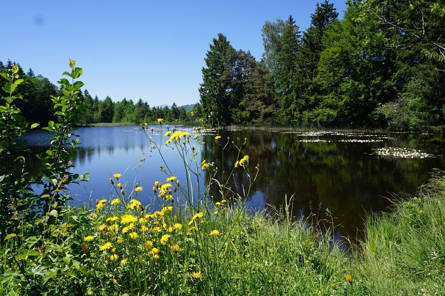 Allgäuer Königsalpenroute - Etappe 5: Roßhaupten-Lechbruck am See