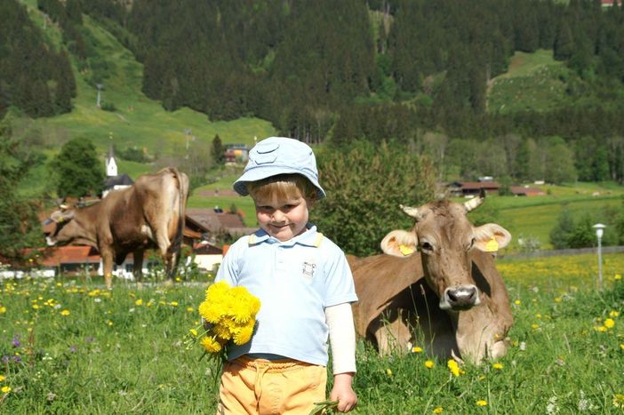 Geborgenheit + Zufriedenheit  = Familienenergie