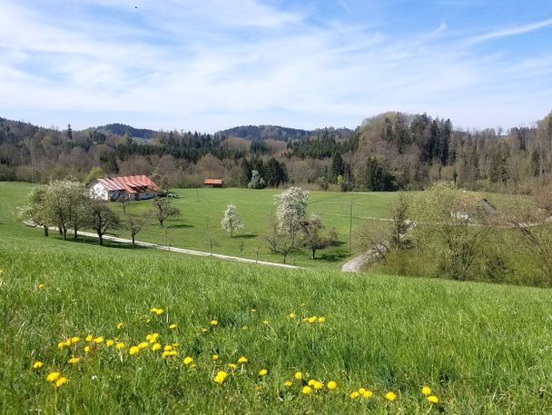 Blick ins Argental bei Dittis