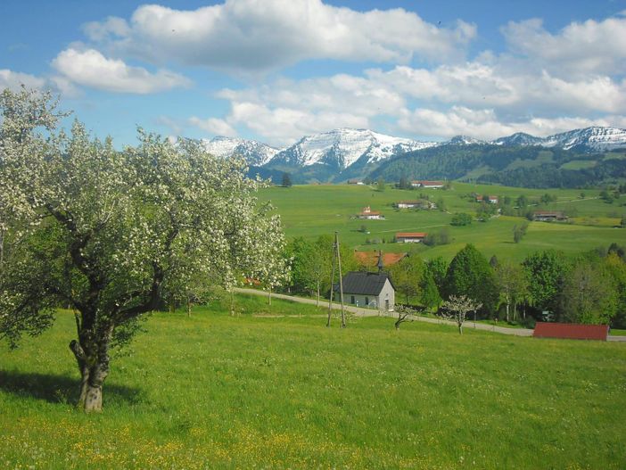 Frühling