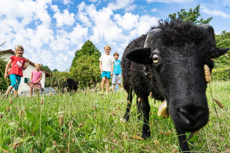 Landwirtschaft hautnah erleben