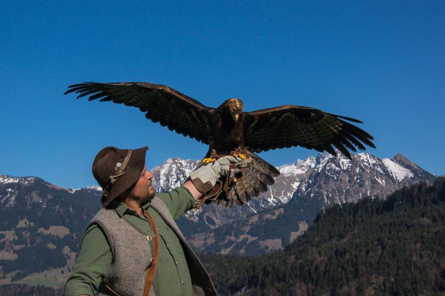 Alpenwildpark in Obermaiselstein - Steinadler