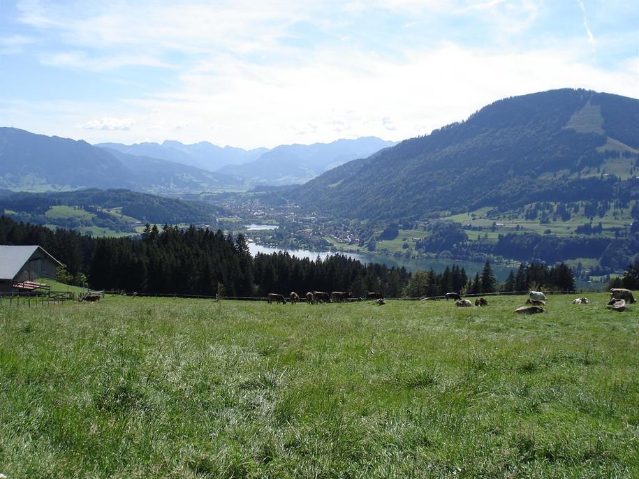 Weitblick