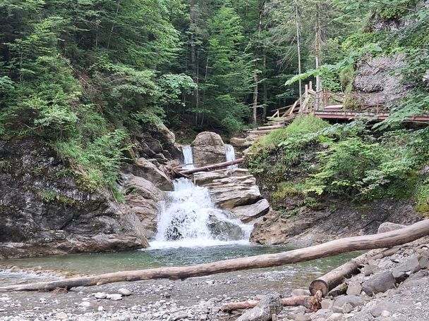 Gunzesried: Birkachmoor