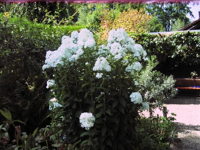 Impressionen