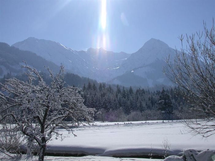 Winterblick Süd mit Bäumen - Haus Carola