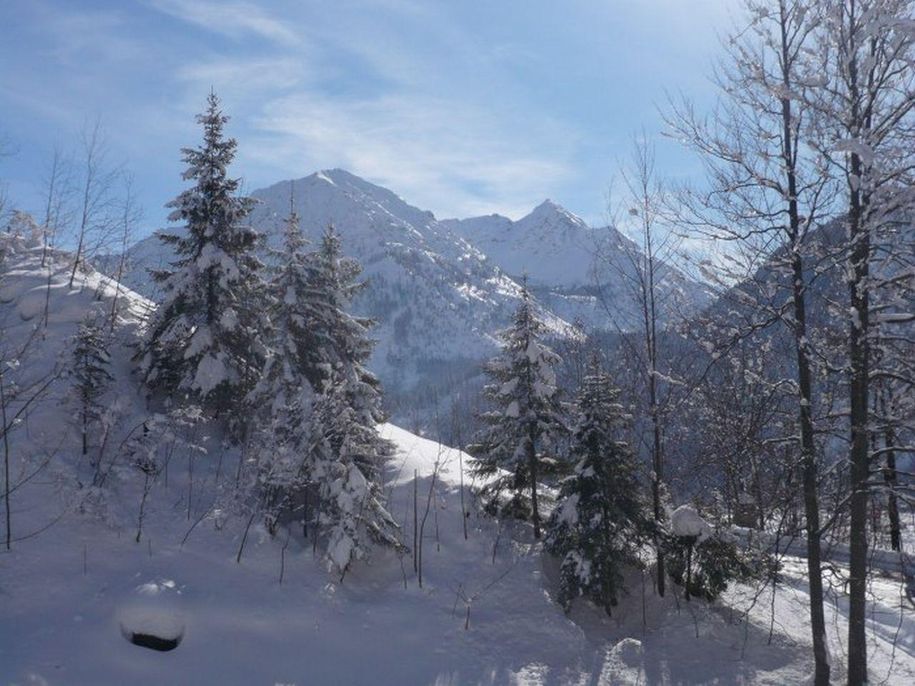 Winter
