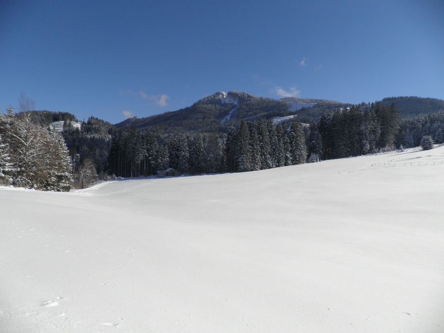 Blick zur Alpspitze bei Nesselwang im Allgäu