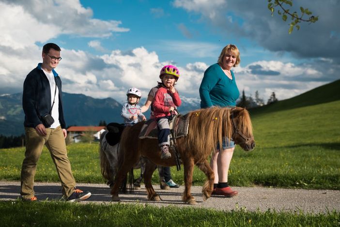 Spaziergang mit den Mini-Shetties