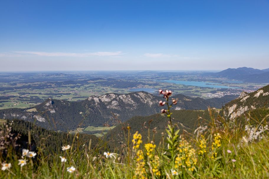 Blick auf  das Voralpenland