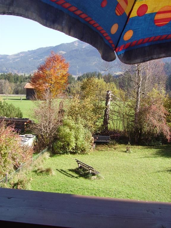 Blick vom Balkon in den Garte