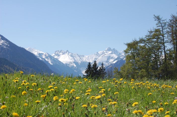 auf der Burg im Frühling
