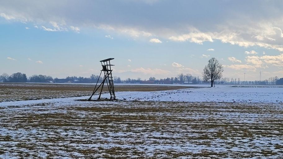 Stadtwaldrunde in Buchloe