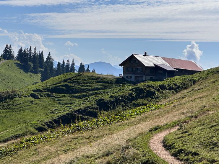 Von der Scheidwang-Alpe auf den Hochgrat