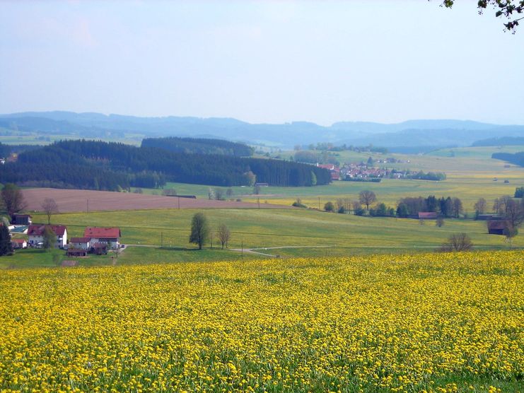 Balterazhofer Höhe