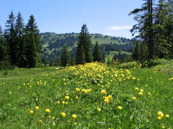Auf dem Weg zum Hädrich übers Hochmoor
