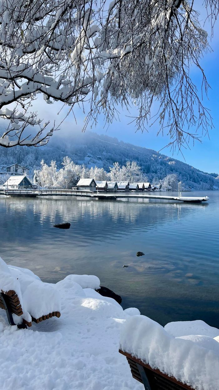 Winter am See