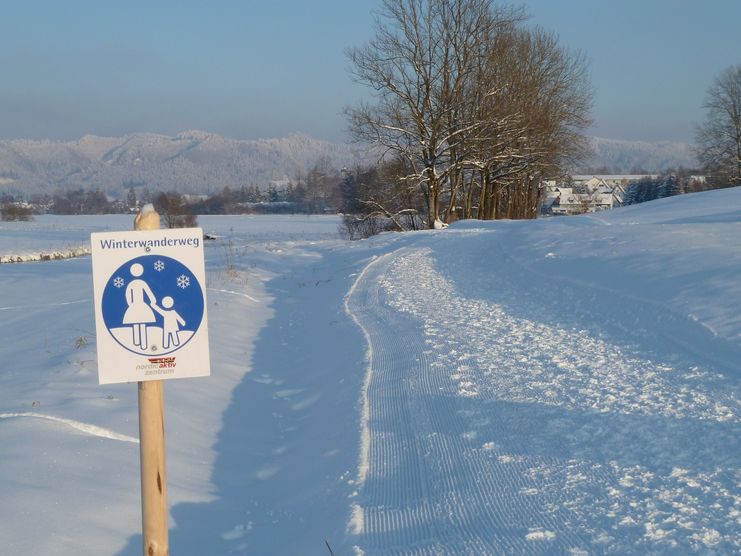 Gewalzter Winterwanderweg in den Bodenmösern (Rotmoos)