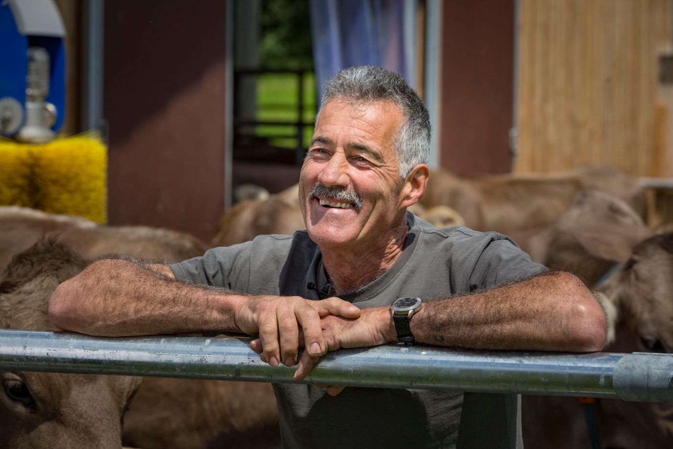 Freude an der Arbeit