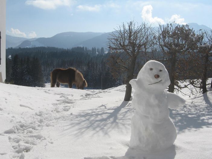 Pony und Schneemann