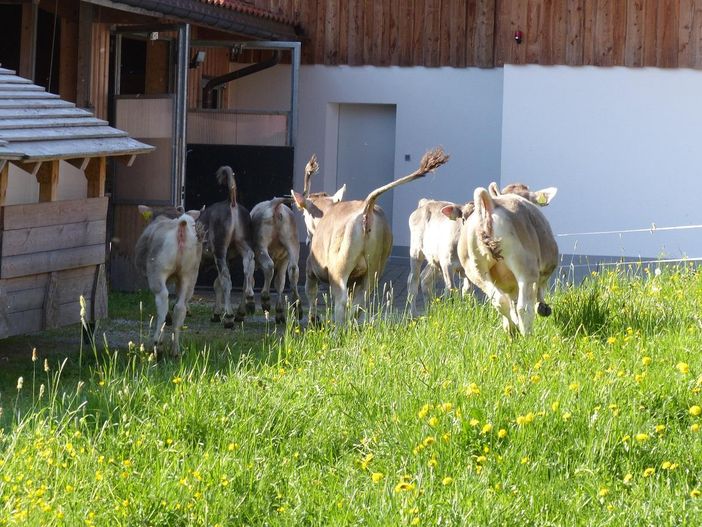 Schwänzchen hoch und los geht's!