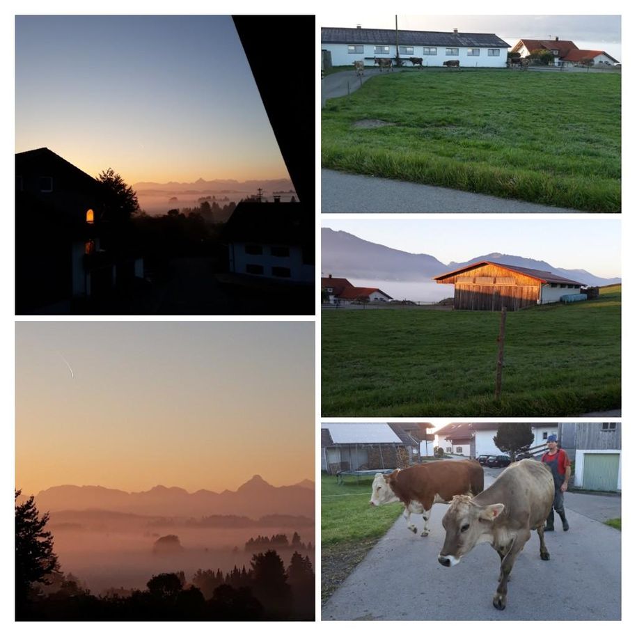 Im Morgengrauen