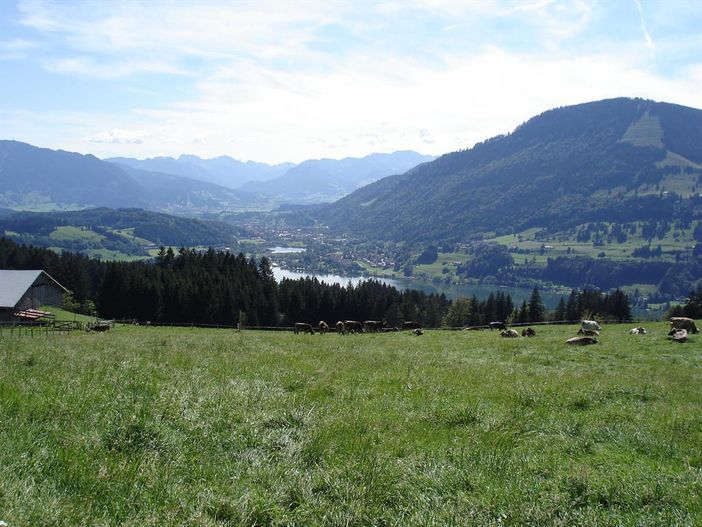 Weitblick