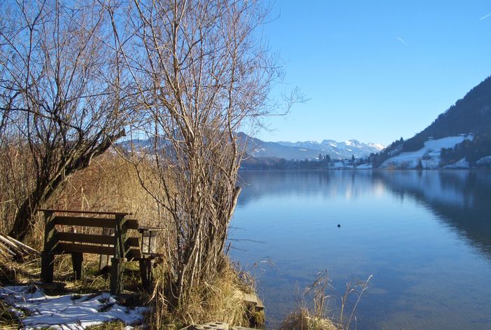 Winterspaziergang am Alpsee