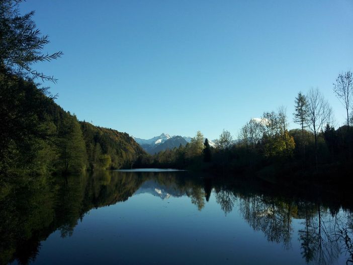 Auwaldsee