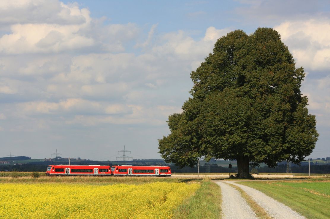 Moorbahn