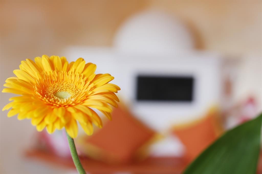 Suite "Bergromantik"