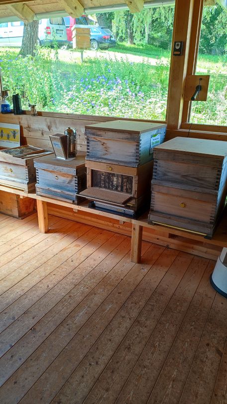 Tourist-Information Seeg