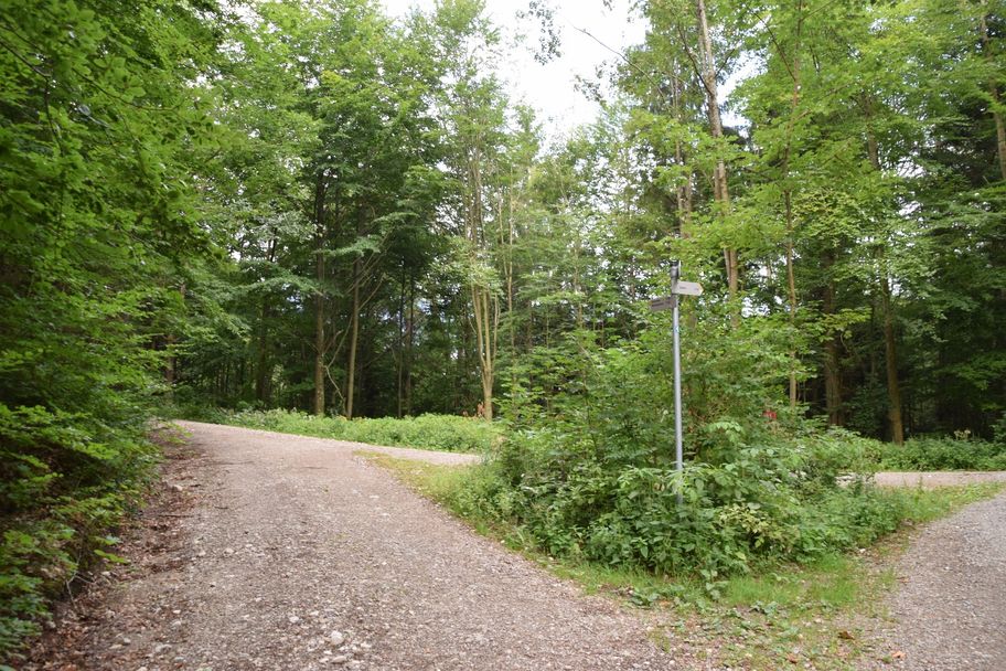 Weggabelung zum Walderlebniszentrum
