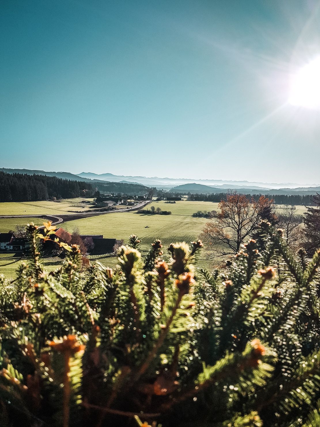Aussicht Jägerhütte