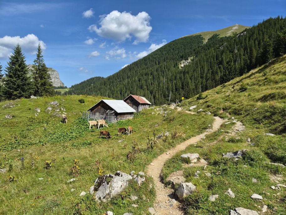 Höhenweg zwischen Füssener Jöchle und Aggenstein