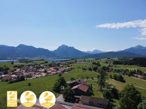 Sonnige Alleinlage über dem Forggensee mit Weitblick auf Berge und Königsschlösser